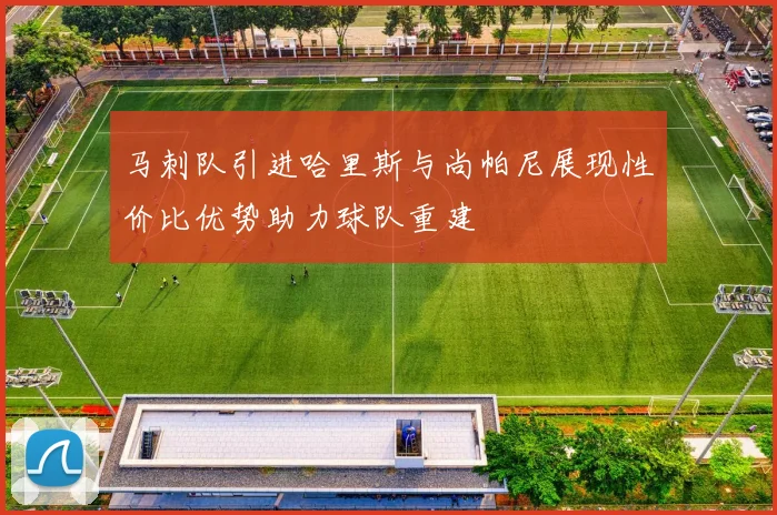 马刺队引进哈里斯与尚帕尼展现性价比优势助力球队重建