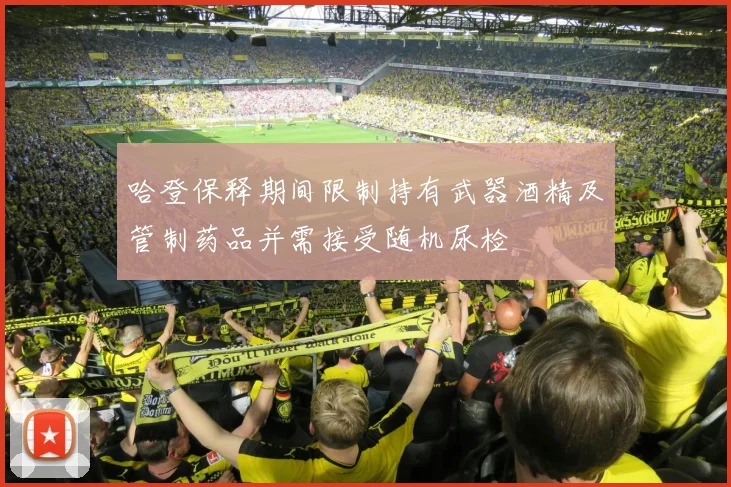 哈登保释期间限制持有武器酒精及管制药品并需接受随机尿检