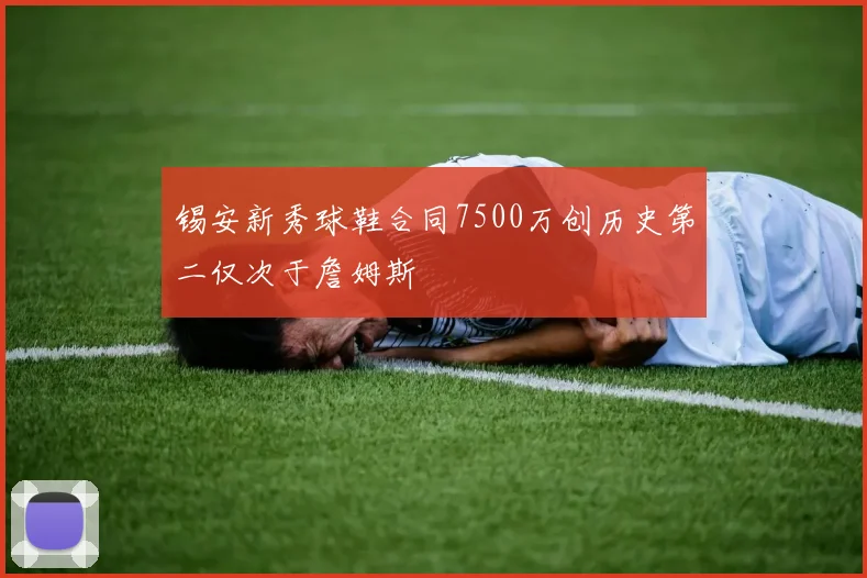 锡安新秀球鞋合同7500万创历史第二仅次于詹姆斯