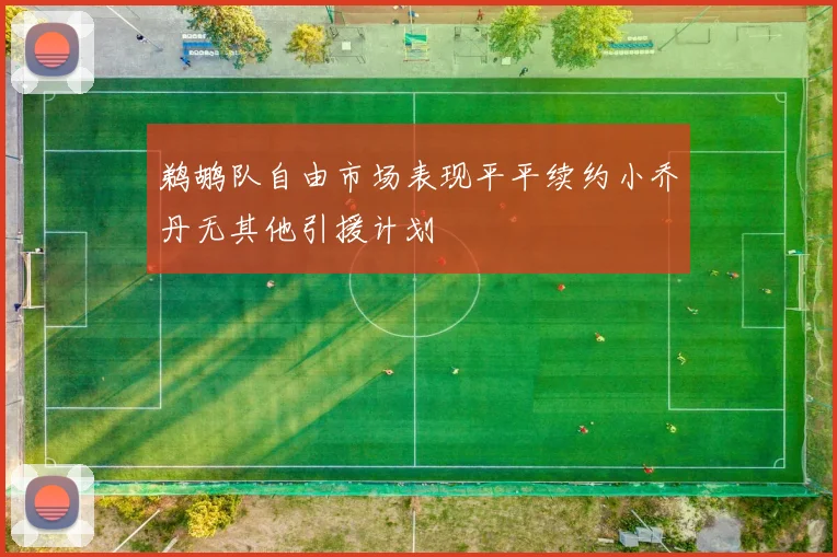 鹈鹕队自由市场表现平平续约小乔丹无其他引援计划